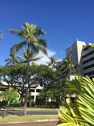 Honolulu airport